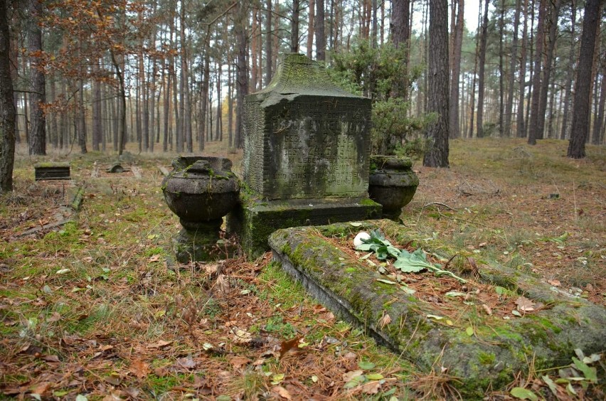 Zapomniane cmentarze w lasach Kujaw i Pomorza. Dbają o nie leśnicy