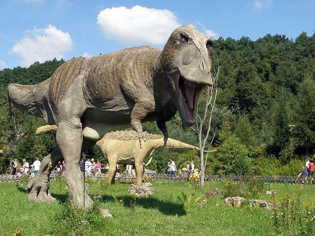 TEROPODTeropody to nazwa określająca kilka gatunków dinozaurów, szczególnie tych drapieżnych i wszystkożernych. Żyły na terenie Małopolski, a ich szczątki znaleziono na przykład w Dolinie Tomanowej.