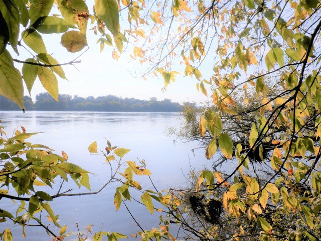 Piękna złota polska jesień potrwa do wtorku, a potem nad Kujawy i Pomorze napłynie zimne powietrze polarno-kontynentalne