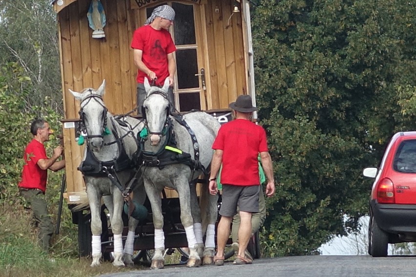 Pielgrzymka do Skrzatusza z awanturą o konie