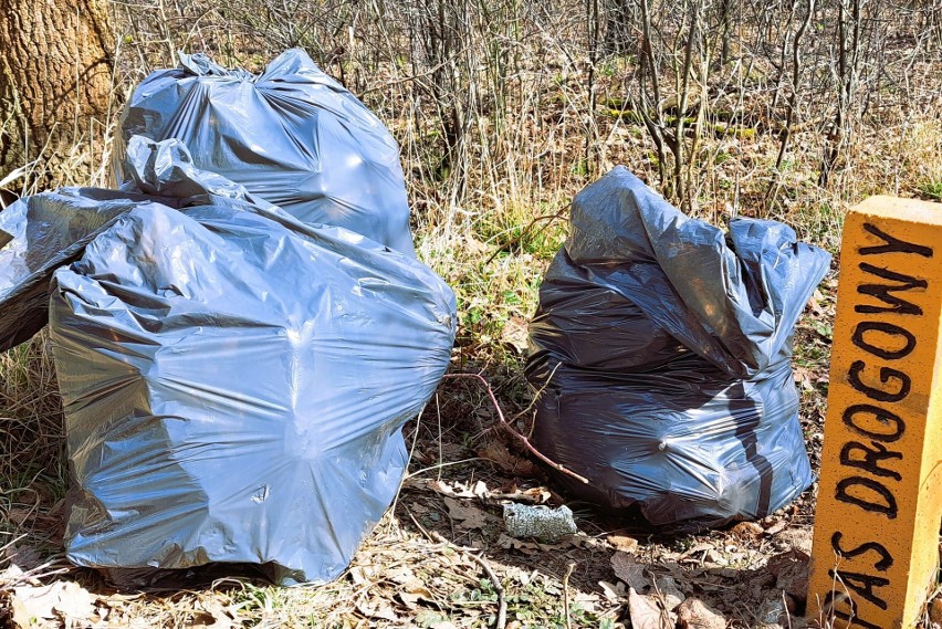 Sezon ekologicznej akcji „Zmieć śmieć” w wielkim stylu...
