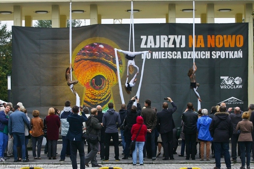 Wrocław: Główna brama do zoo znów otwarta (ZDJĘCIA)