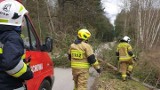 Wichura w powiecie buskim. Uszkodzone dachy, zatarasowane drogi. 69 strażaków w akcji