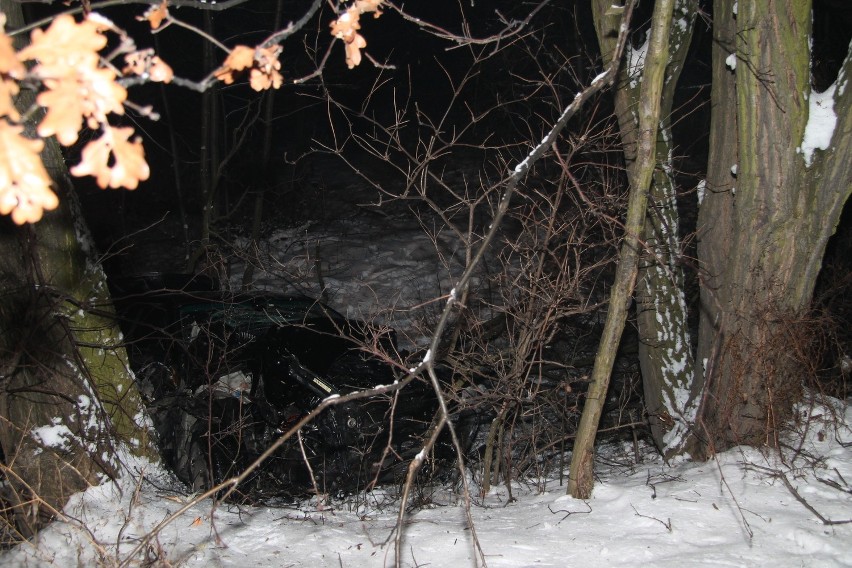 Wypadek w Grojcu: pijany kierowca bmw uderzył w drzewo [ZDJĘCIA]
