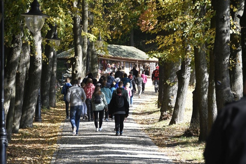 Mnóstwo turystów na Zamku w Chęcinach. Pogoda sprzyjała zwiedzaniu (ZDJĘCIA)