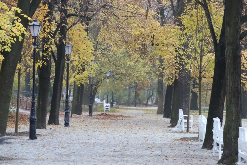 Posadzono tysiące krzewów - irg, hortensji, bukszpanów, róż,...