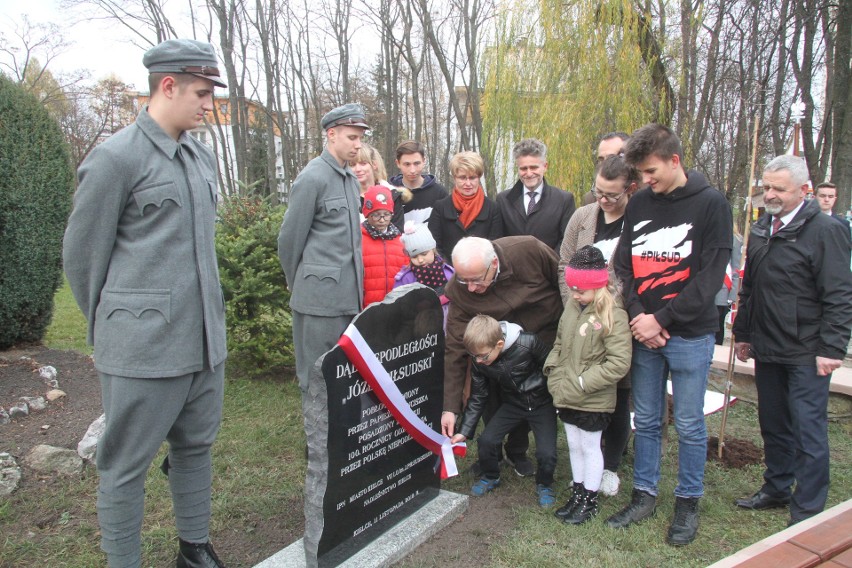 Dąb Niepodległości poświęcony przez papieża rośnie w Kielcach (WIDEO, zdjęcia)