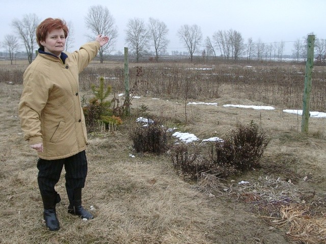 - Chcemy zbudować gospodarstwo agroturystyczne. W pobliskim Barkowie ludzie też zainwestowali, kupili domki kampingowe licząc na amatorów łowienia ryb oraz kajaków. Ale kto tu przyjedzie do smrodu? - pyta pani Irena, która wspólnie z innymi mieszkańcami szykuje protest do gryfickich i wojewódzkich władz.