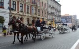 Parada konna w centrum Łodzi [FILM, zdjęcia]