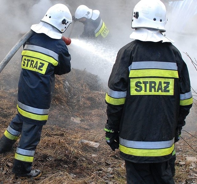 Strażacy opanowali sytuację. Ogień nie rozprzestrzenił się na większym obszarze.