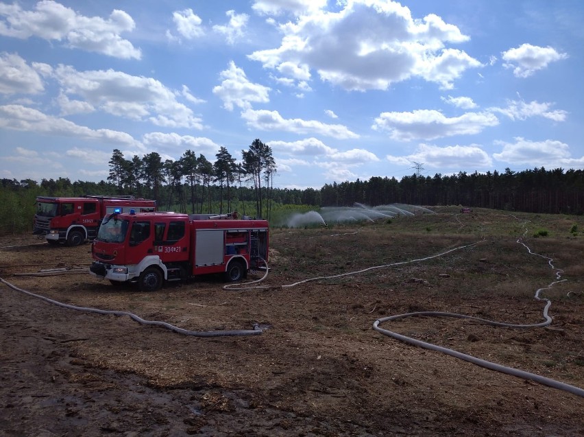 W piątek, 30 lipca, na terenie Nadleśnictwa Solec Kujawski...