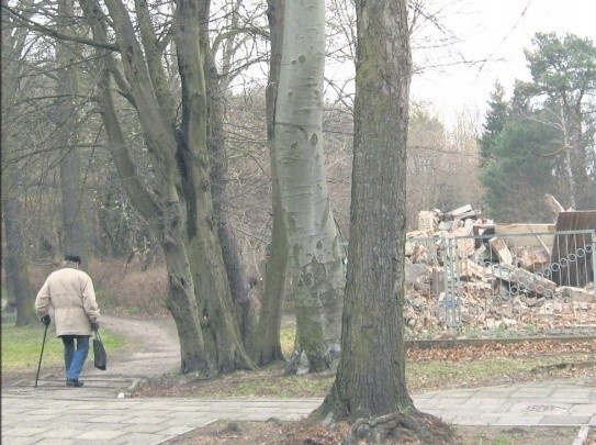 Do lata na działce ma być porządek.