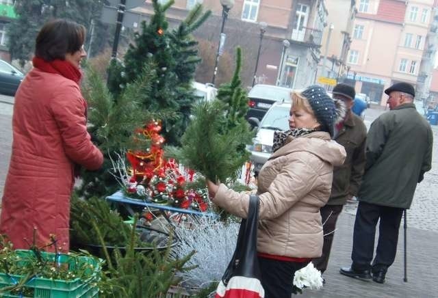 Grażyna Wolna (z lewej), która sprzedaje choinki, przewiduje, że największy ruch na stoiskach zacznie się dopiero w ostatnim tygodniu przed świętami Bożego Narodzenia