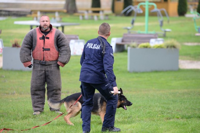 W czasie pokazów w Kamieniu zaprezentowano umiejętności zarówno psów policyjnych, jak i cywilnych, natomiast instruktorzy służyli fachową pomocą i poradą.