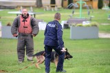 Psy policyjne w akcji! Pokaz tresury w Kamieniu Krajeńskim - zobacz zdjęcia