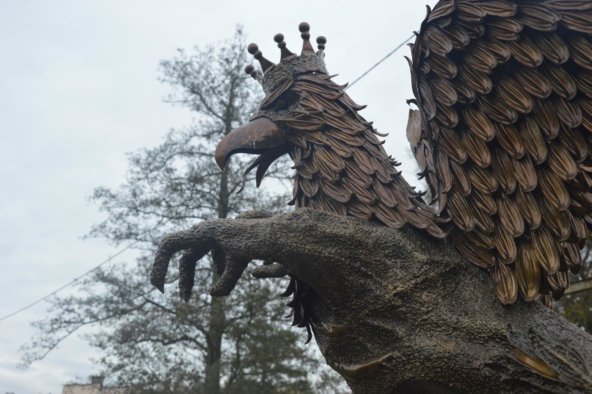 Majestatyczny gryf stanął przed wejściem do Kaszubskiego...