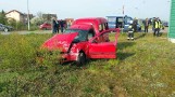 Obwodnica Pelplina: 14 osób rannych w zderzeniu busa z autem osobowym [ZDJĘCIA]