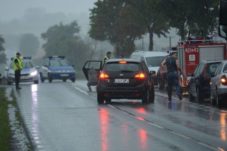 Feralny poranek - 13. 07 - okazał się także dla młodego...