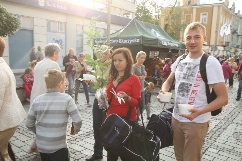 Dary Świętokrzyskich Lasów - piknik w Kielcach