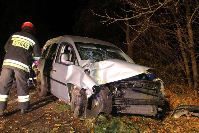 Do wypadku doszło w sobotę po godz. 22.30 na drodze krajowej nr 94. VW caddy - kierowany przez 41-letniego mężczyznę - jechał ze Strzelec Opolskich w kierunku Opola.