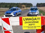 Policjanci i żołnierze pomagają przy zwalczaniu ASF w powiecie nowosolskim