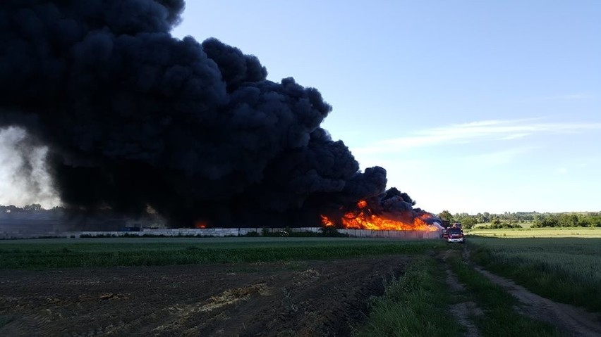 Pożar wybuchł krótko po godz. 17 na składowisku makulatury w...