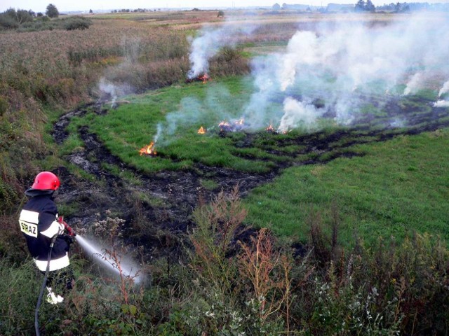 To niestety częsty widok wiosną &#8211; wypalanie traw.