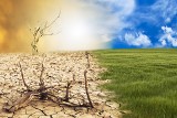 Prognoza klimatyczna na 2070 r. Naukowcy przypuszczają, że za 50 lat będą nas nękać ogromne upały i susza 