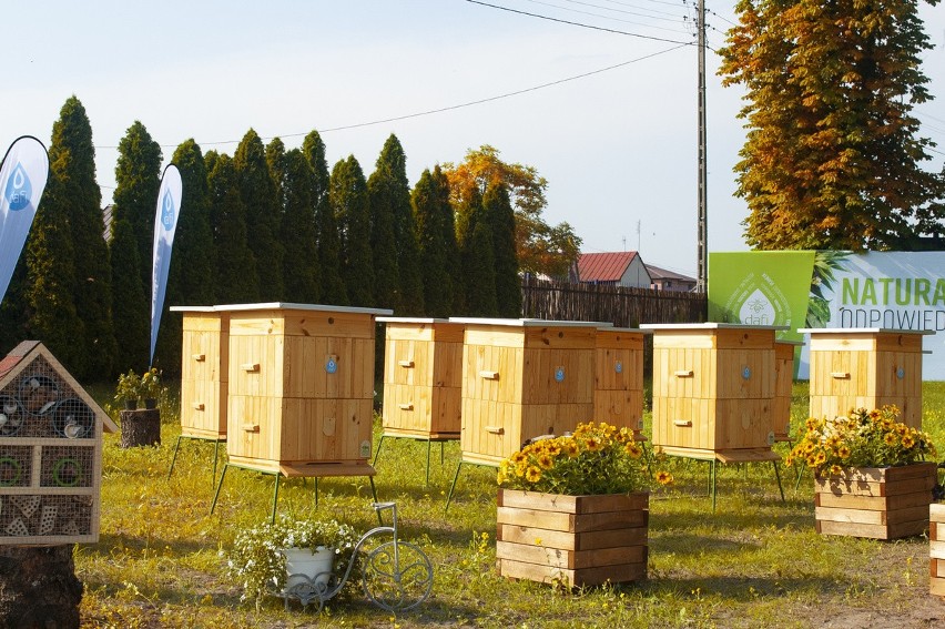 Firma Formaster Group dołączyła do projektu „Robimy tlen dla Kielc”. Na terenie przedsiębiorstwa na Białogonie zasadzono drzewa tlenowe