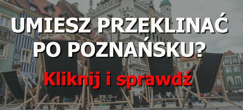 Poznań: Plan miejscowy ma zablokować budowę bloków mieszkalnych na Winogradach