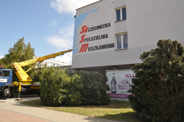 Szczecinecka Spółdzielnia Mieszkaniowa - inaczej niż kiedyś miasto, które sprzedało większość atrakcyjnych lokali użytkowych - swoje sklepy i inne lokale raczej wydzierżawia, a zyski przeznacza na remonty