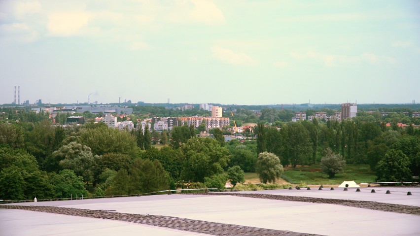 Pracownicy Tauron Areny Kraków twierdzą, że w słoneczny...