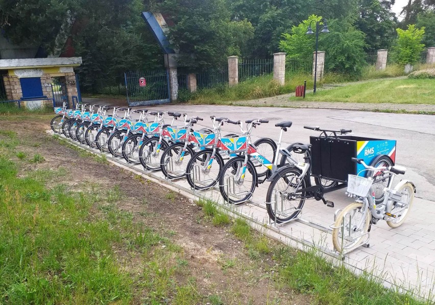 Wypożycz i jedź - rowery miejskie już dostępne w Skarżysku! Gdzie stacje? Zobacz zdjęcia