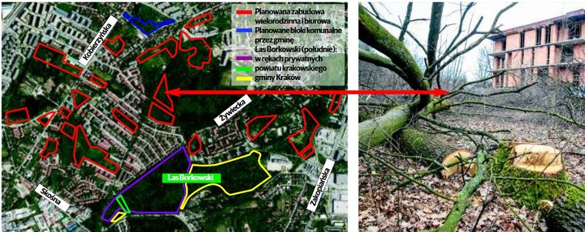 Zieleń w Borku Fałęckim znika. Zamiast drzew - bloki 