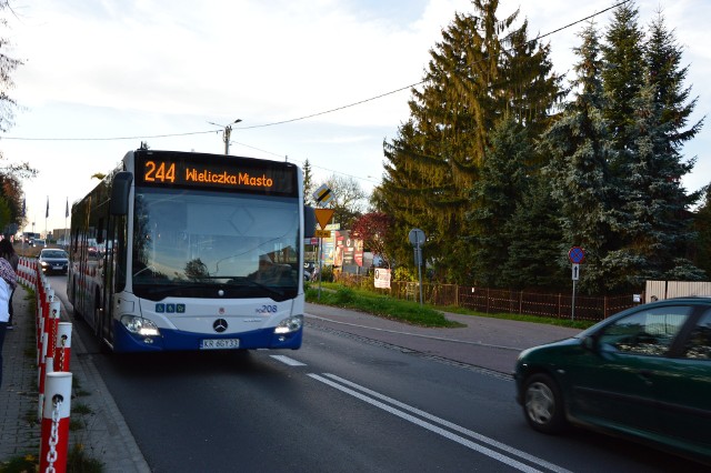 Od kilku tygodni autobus 244 kursuje z Wieliczki - tylko do pętli "Nowy Bieżanów Południe" (wcześniej - do Borku Fałęckiego). Mimo licznych apeli pasażerów o wydłużenie trasy tej linii, Kraków nie widzi na dziś takiej możliwości