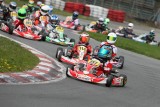 Rok Cup Poland. Zmagania na kartodromie w Bydgoszczy