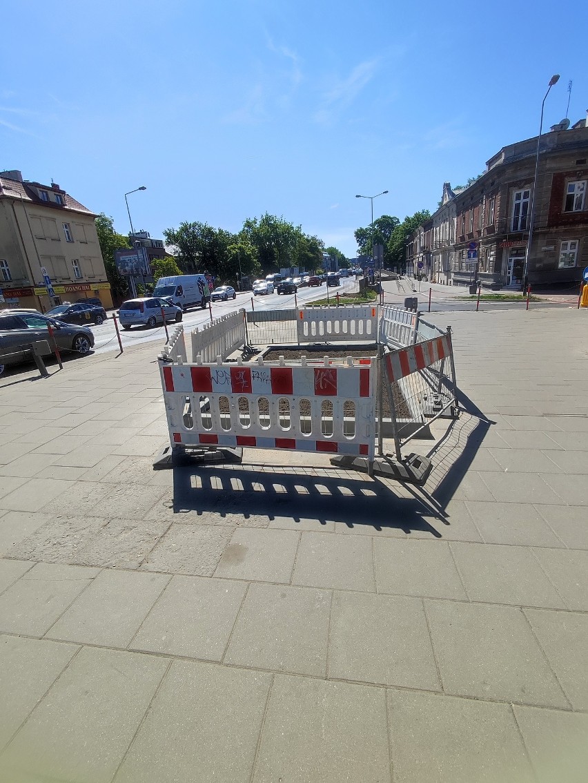 Kraków. Czy zasadzenie drzewa na środku chodnika będzie bezpieczne? Radny Krakowa pyta o rowerzystów i niewidomych