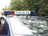 Policja: Ogołocone audi w szczerym polu