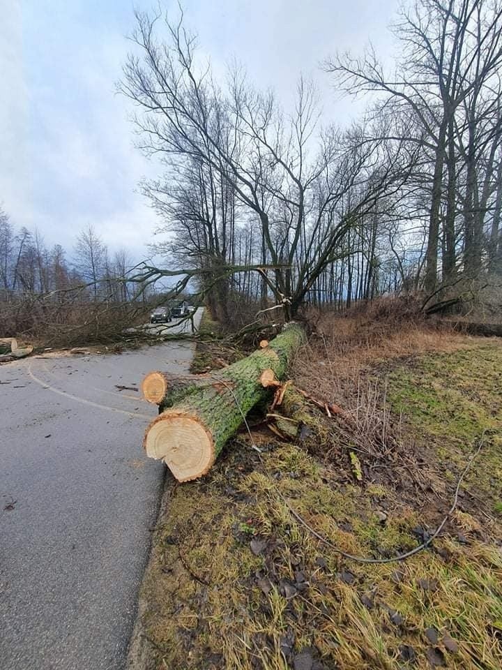 Wichura w pow. ostrowskim. 12 interwencji straży pożarnej spowodowanej silnym wiatrem. Zdjęcia 17.02.2022