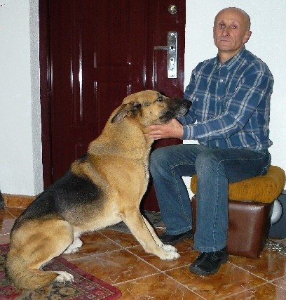 Tadeusz Borówko wciąż opiekuje się wilczurem, który go okrutnie zranił. Twierdzi, że to był tylko odruch ze strony psa, który przeżył wiele złego.