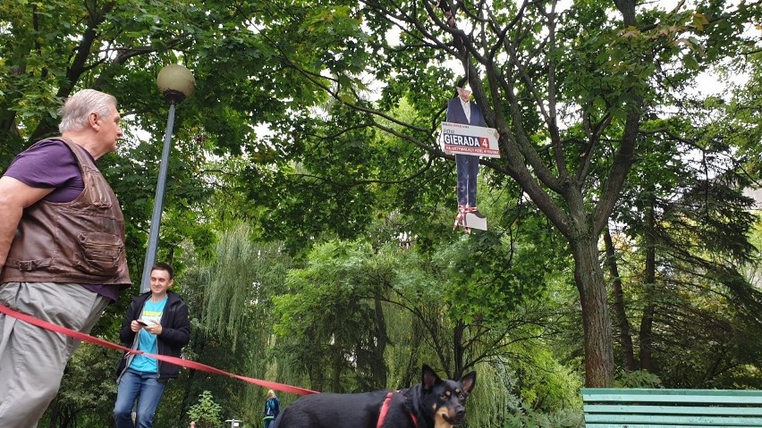 Podobizna polityka z odciętą głową powieszona na w drzewie w parku! „To coś obrzydliwie paskudnego”!