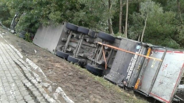 Wypadek na krajowej "42" w Płaczkowie. Tir ze świniami w rowie. Kierowca nie przeżył (ZDJĘCIA)