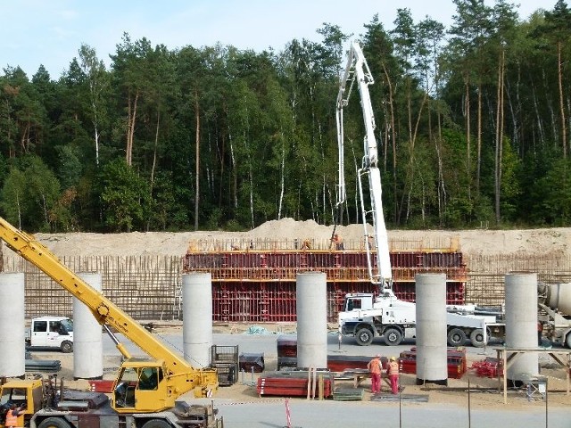 Największe przejście dla zwierząt nad budowanym obecnie odcinkiem autostrady A1 (Stryków – Tuszyn) powstaje w rejonie Głuchowa.