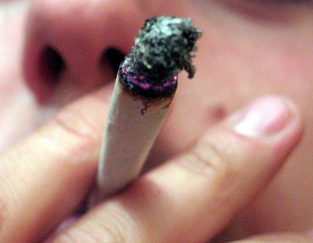 Legalne palenie marihuany? Policja: Eksperyment BioInfoBank jest nielegalny