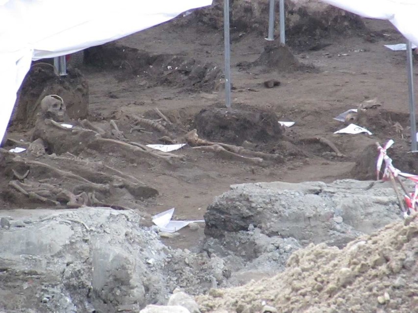 Kraków. Odsłania się tajemnica szkieletów z cmentarza odkrytego na Stradomiu  