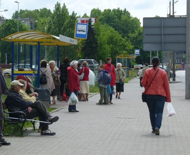 zdjęcie ilustracyjne