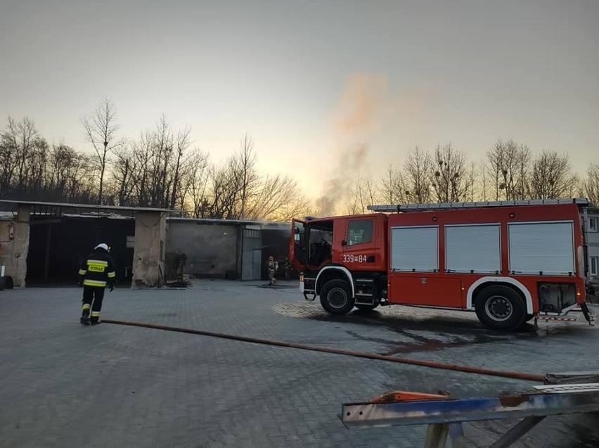 Pożar w hali zakładowej firmy w Wierzbicy. Palił się podnośnik teleskopowy. Na miejscu wielu strażaków