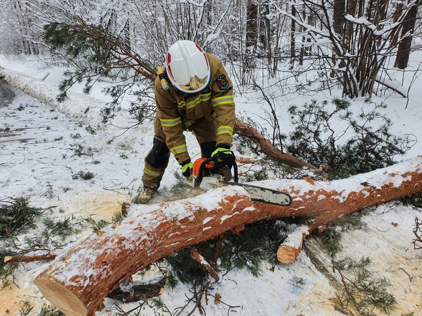 Z powalonymi drzewami walczą strażacy w całym powiecie...