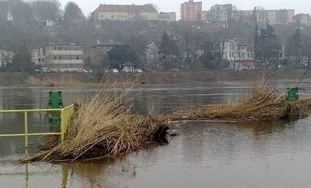 Ciało pływające w Odrze w porcie w Krośnie Odrzańskim zauważył mieszkaniec.