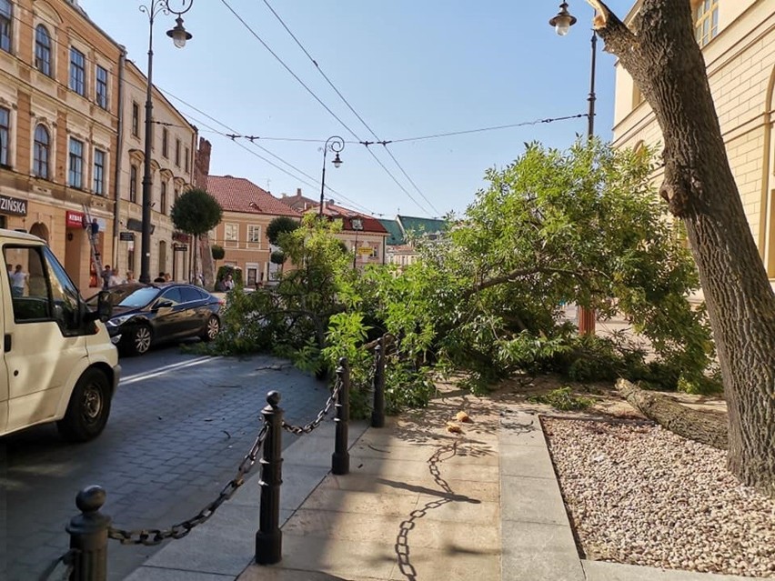 Lublin: Złamane drzewo leży na drodze. Utrudnienia w ruchu obok Bramy Krakowskiej
